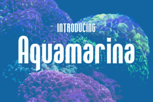 Aquamarina: A Striking Display Typeface for Editorial Design