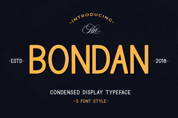 Bondan Family: A Modern Vintage Display Typeface