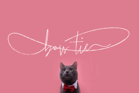 Bow Tie Font: Elevate Your Brand Identity