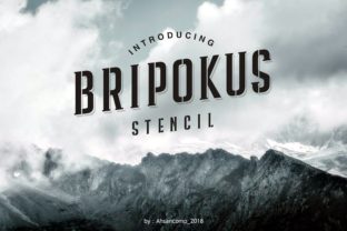 Bripokus: Bold Stencil Display Fonts for Web