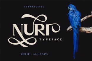 Nuri: The Elegant Display Typeface for Campaigns