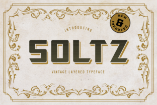 Soltz: A Vintage Display Typeface for Bold Branding