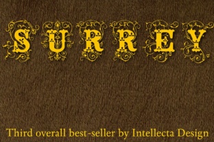 Surrey Font: A Vintage Display Typeface for Makers